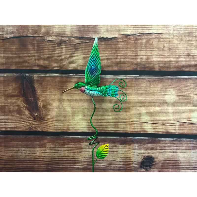 Jeu de jardin hummingbird Rosaline