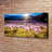 Crocuses In The Clearing - Wrapped Canvas Print