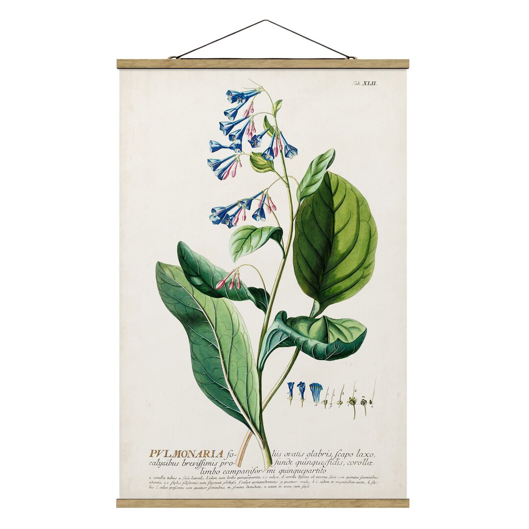 Stoffbild Vintage Botany Illustration Lungwort