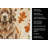 Brown Newfoundland Heirloom Fall Kitchen Towel-1218231227