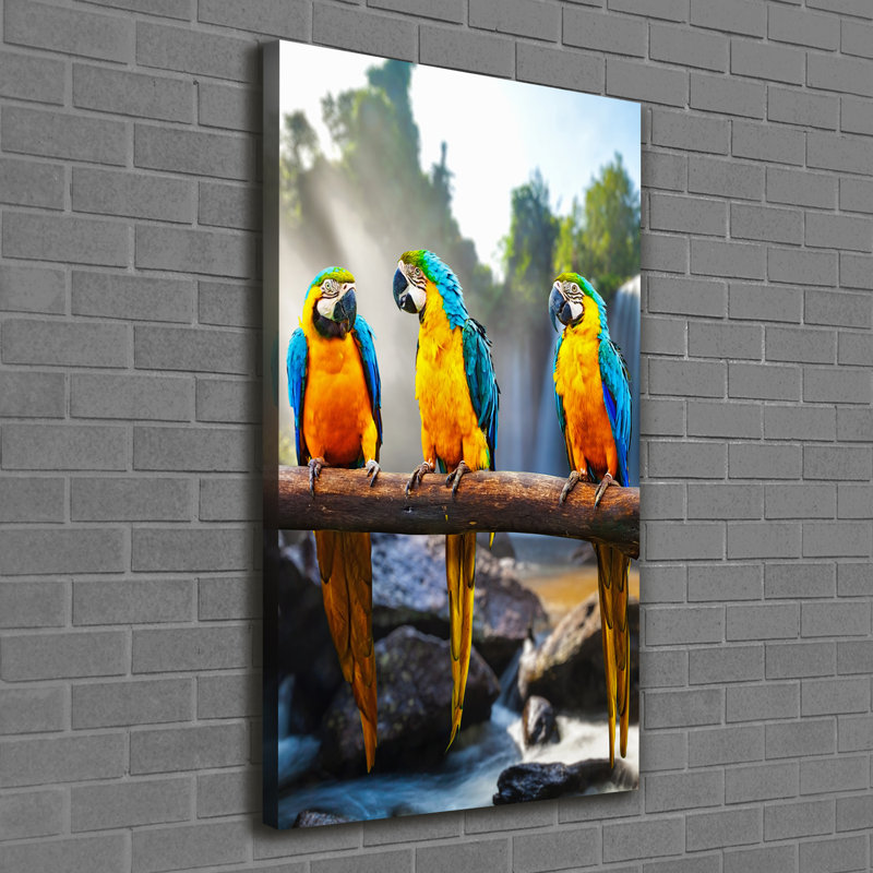 Macaw Parrots - Wrapped Canvas Print