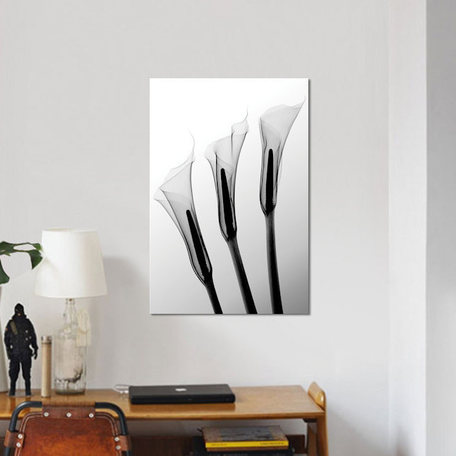 Callas I by Hong Pham - Gallery Wrapped Canvas Giclee Print East Urban Home 