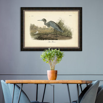 « audubon blue héron », reproduction d’art encadrée