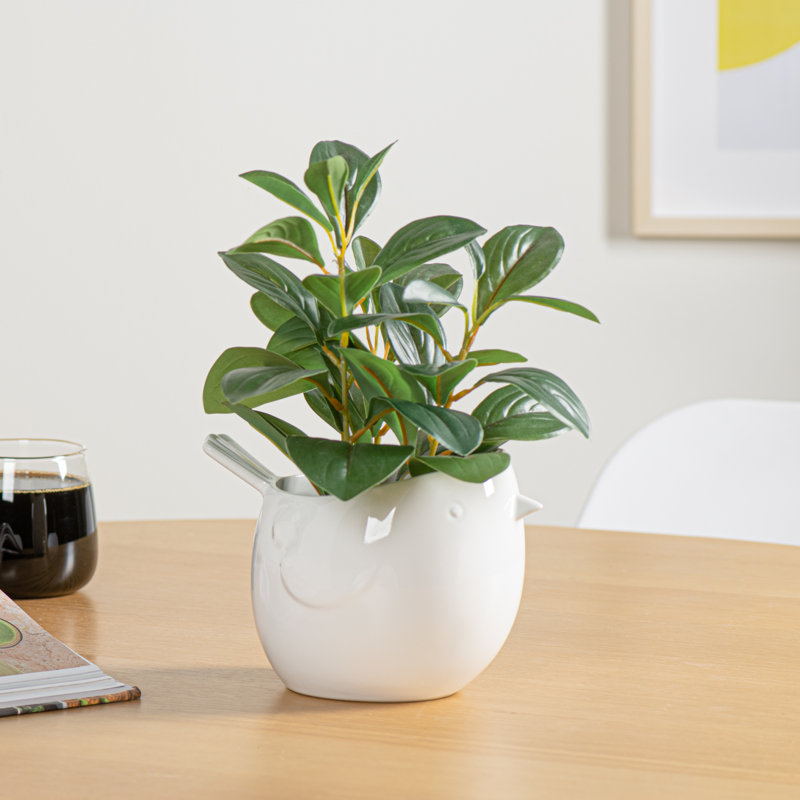 Zygi Bird Gloss Ceramic Planter Pot for 4" Nursery Pots (White), White