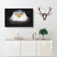 Bald Eagle Bird - Wrapped Canvas-56645640