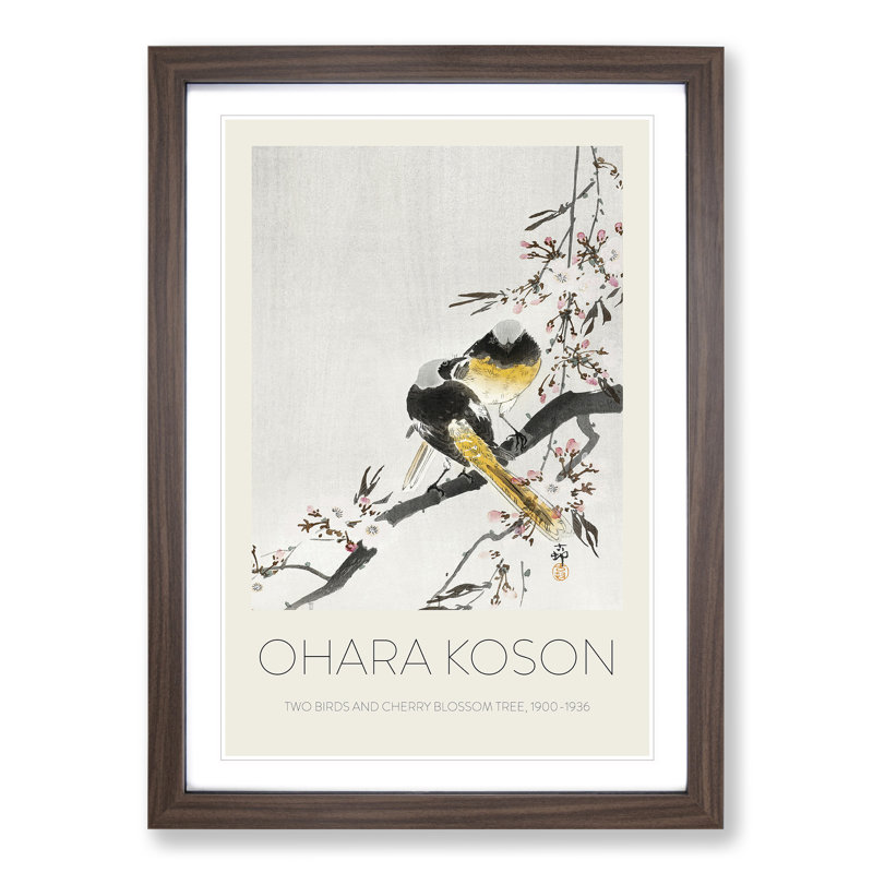 Two Sable Red Tails & Cherry Blossom by Ohara Koson - Picture Frame Art Prints, Walnut, 48cm H x 36cm W x 2cm D