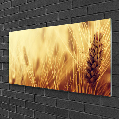 Glass Print Wall Art 100X50cm Image Printed On Glass Decorative Wall Picture Behind Toughened / Tempered Safety Real Glass For Kitchen & Living Room Theme: Wheat Floral