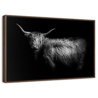 Hello Highland Cow