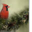 « waiting on christmas », reproduction d’impression sur toile tendue-31383124