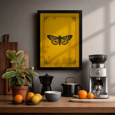 Specimen Butterfly Study Vintage - Framed Print