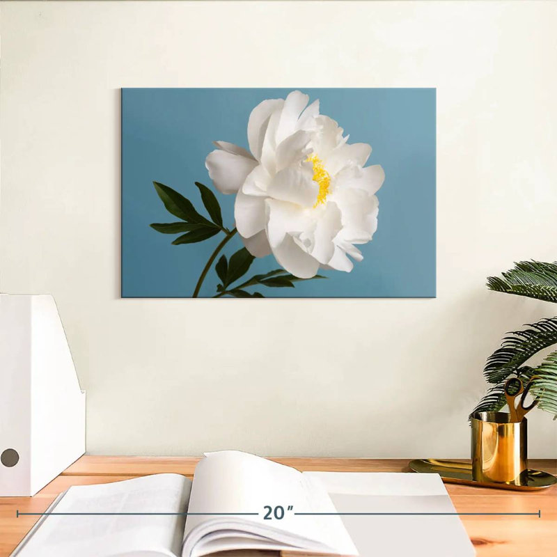 Fleur de pivoine blanche Harnek