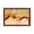 Brown Framed