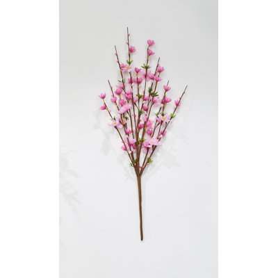 Cerisier en fleurs