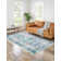 Olufisayo Oriental Indoor Rug