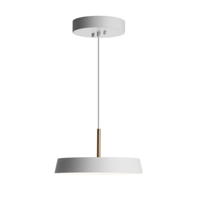 Cenk 1 - Light LED Single Pendant