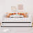 Twin Size Upholstered Daybed With Ergonomic Design Backrest And Trundle