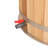 Anyi 110 Volt 1 - Person Red Cedar Round Plug and Play Ice Tub