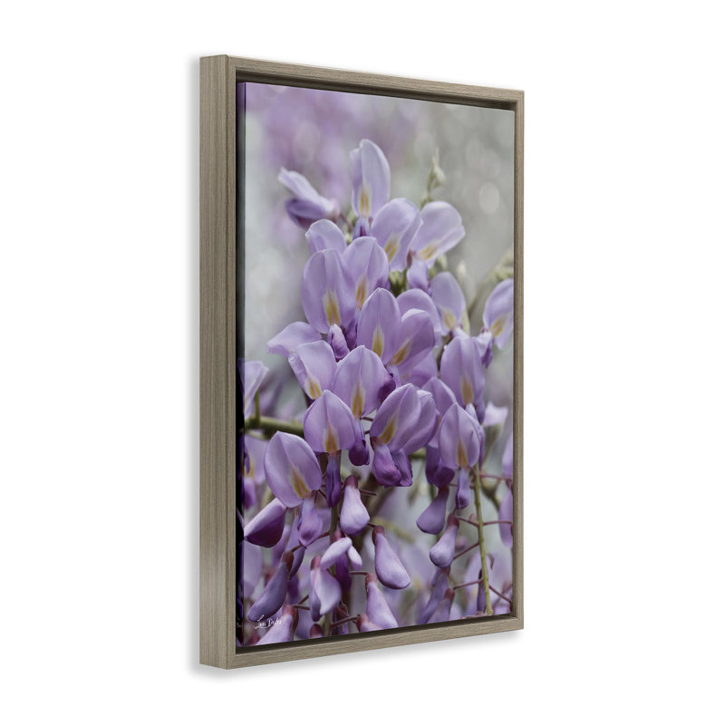 Toile flottante avec pétales d'orchidées mauves par Lori Deiter, H 31 po x l 21 po, Cadre flottant orme Montalcino