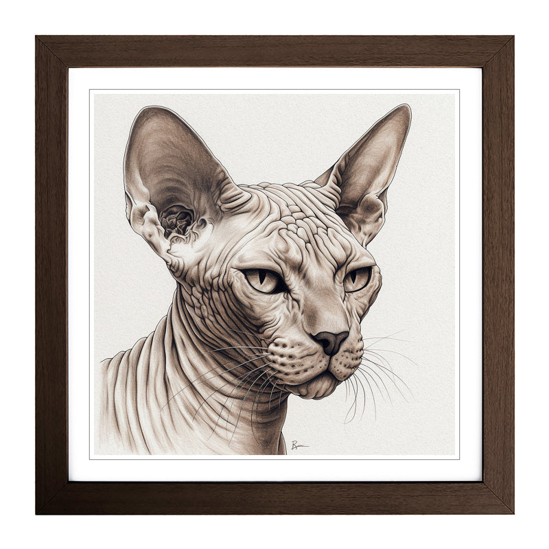 Sphynx Cat Drawing No.1 - Framed Print