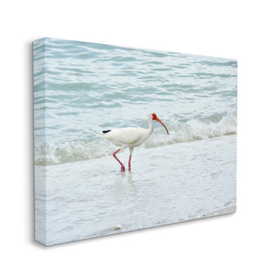 «Bird Stepping Sea Waves Splash», art mural par Jairo Rodriguez