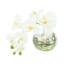Orchid and Curly Willow Arranged in a Glass Vase