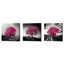 «Vibrant Tree Series: Magenta Triptych (Ensemble de 3)», art mural sur toile-24714585