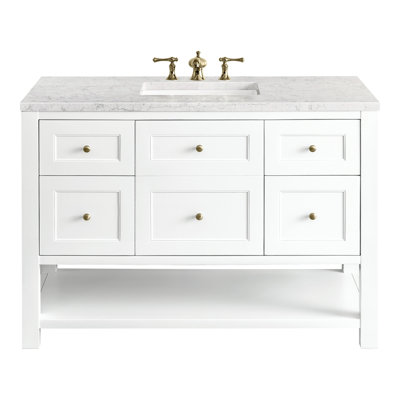 Breckenridge 48'' Single Bathroom Vanity with Top