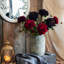 Tige de dahlia-1377937018
