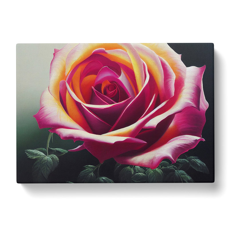 Pretty Rose Flower - Wrapped Canvas, 35cm H x 50cm W x 3cm D