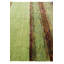 Tapis vert Jacoby