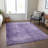 Machine Washable Indoor/Outdoor Xhevrie Purple Rug-25535157