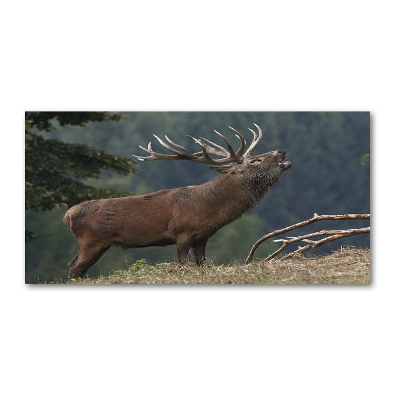 Deer On The Hill - No Frame Print on Canvas