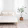 Signature Design by Ashley Chime Medium Memory Foam Mattress