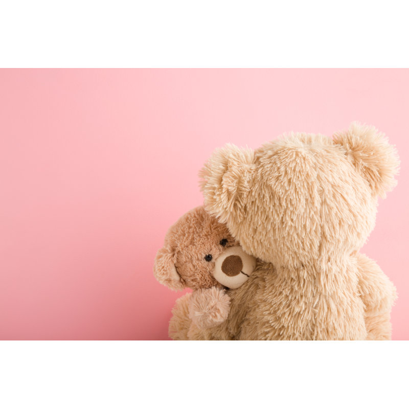 Brown Teddy Bear by FotoDuets - Wrapped Canvas Print, 61cm H x 91cm W