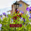 Piquet de jardin Mellott