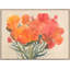 Big Bloom I Print by David Erickson-1984509485