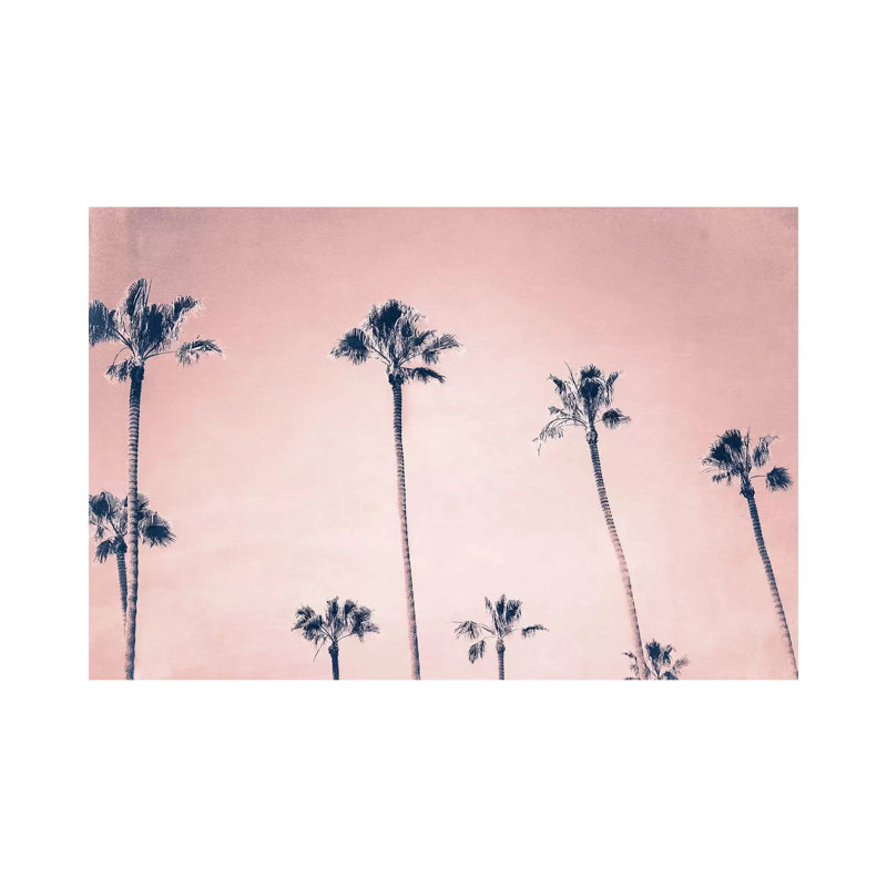 Palms by MScottPhotography - Wrapped Canvas Print, 20.32 cm H x 30.48 cm W