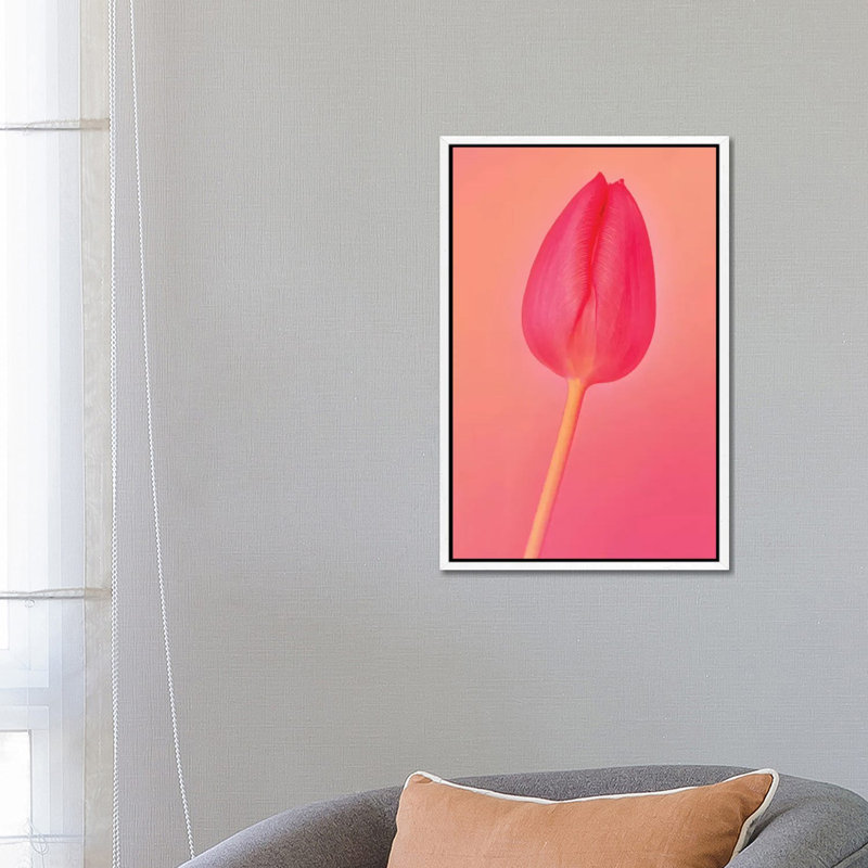 One Tulip by Beli - Print on Canvas, White Framed, 66.04cm H x 45.72cm W x 3.81cm D