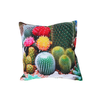 Outdoor Throw Pillow