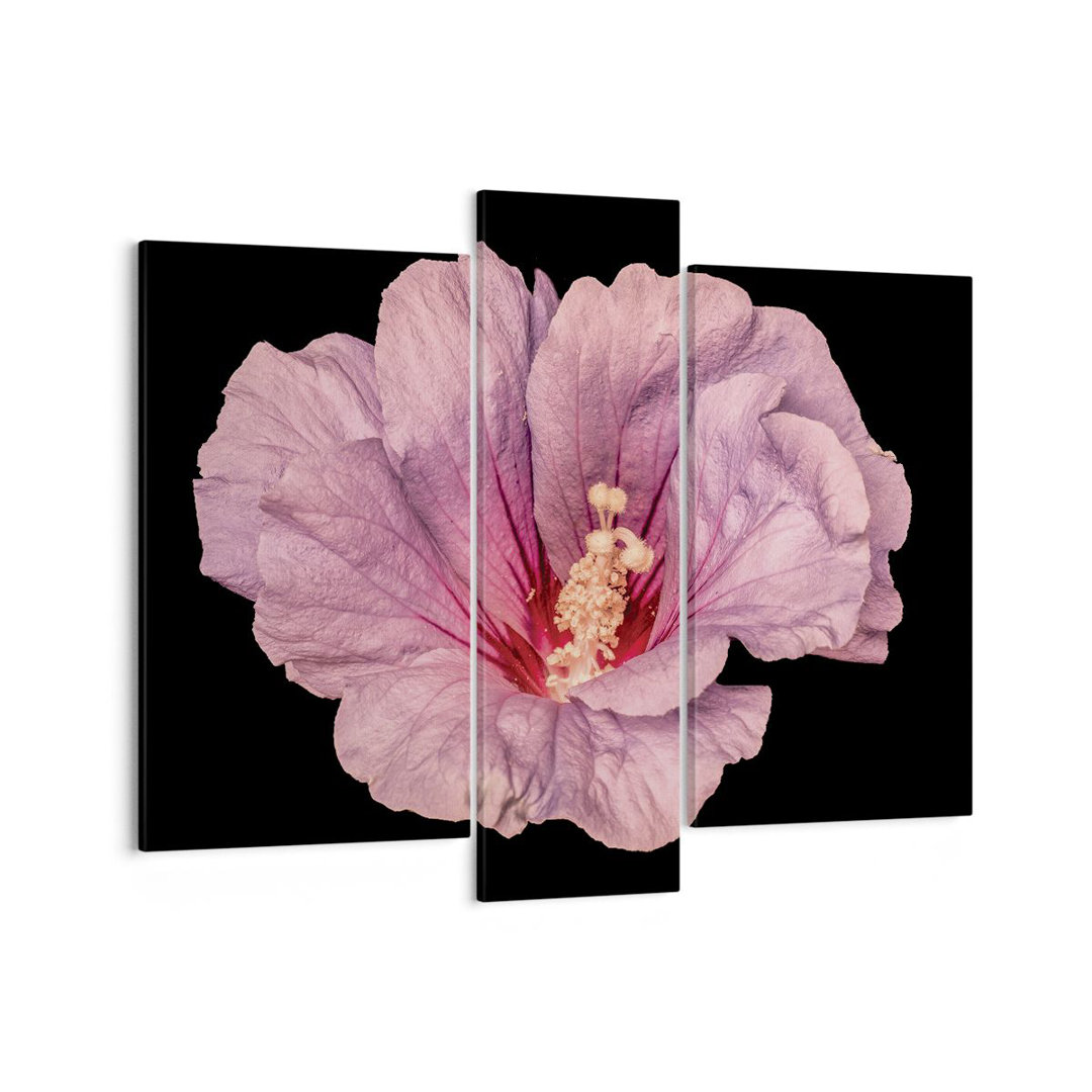 3-tlg. Leinwandbilder-Set Hibiscus Flower Pink