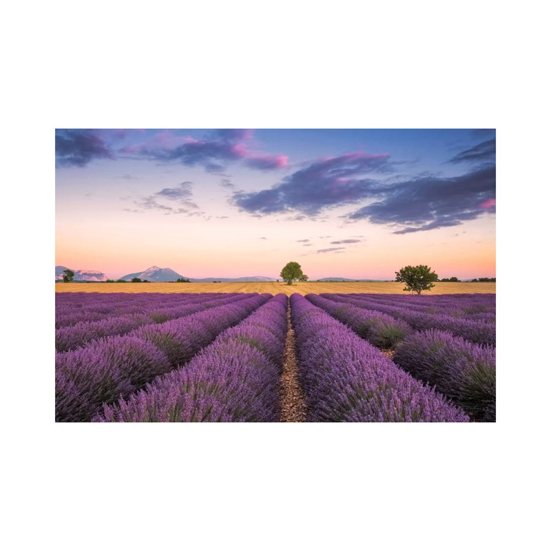 Valensole Sunset, Provence, France by Jim Nilsen - Wrapped Canvas Print, 101.6 cm H x 66.04 cm W