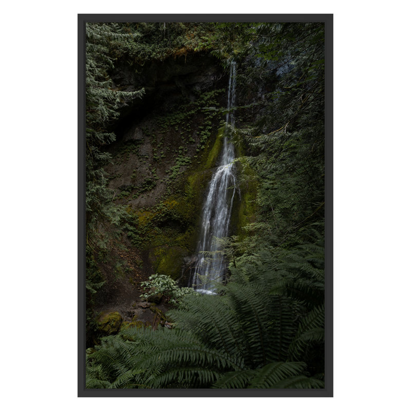 Olympic Falls Print by Bumsted, Kelsey