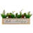 9'' H Wood Tabletop Candle Accessories
