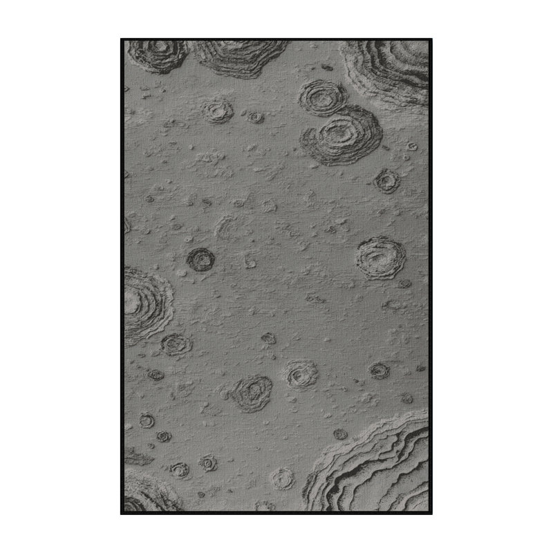 Tapis gris lavable à la machine, Rectangulaire 2 pi x 3 pi