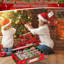 Ornament Storage