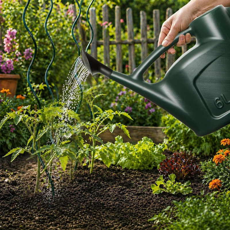 Watering Can