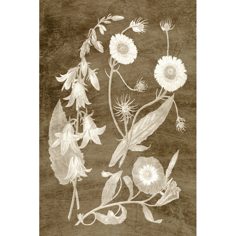 No Frame Print on Canvas, 30cm H x 20cm W x 3.8cm D