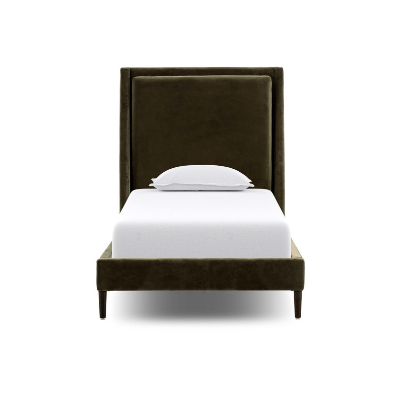 Potter Bed, Surrey Olive