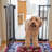 Ebbert Pressure Mounted Pet Gate
