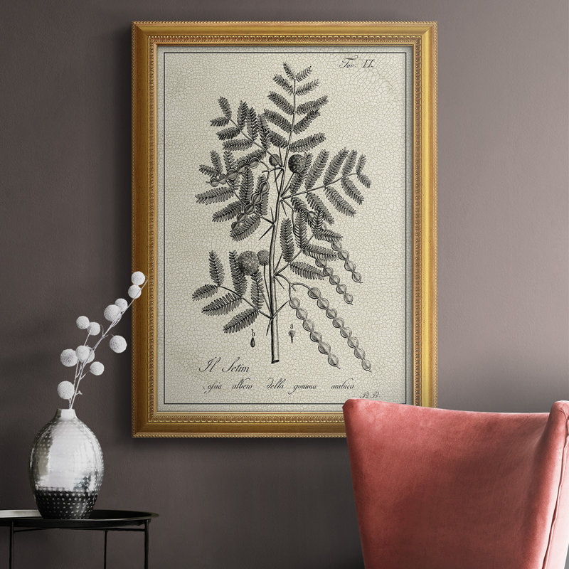Toile encadrée de qualité supérieure antique noir et blanc botanique I - prête à être accrochée, H 27 po x l 18 po x P 2,5 po